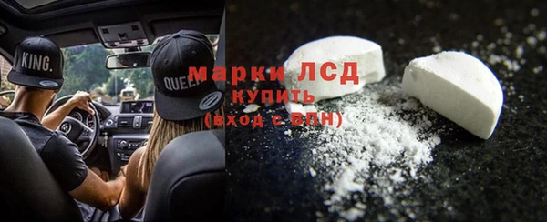 прущие грибы Переславль-Залесский