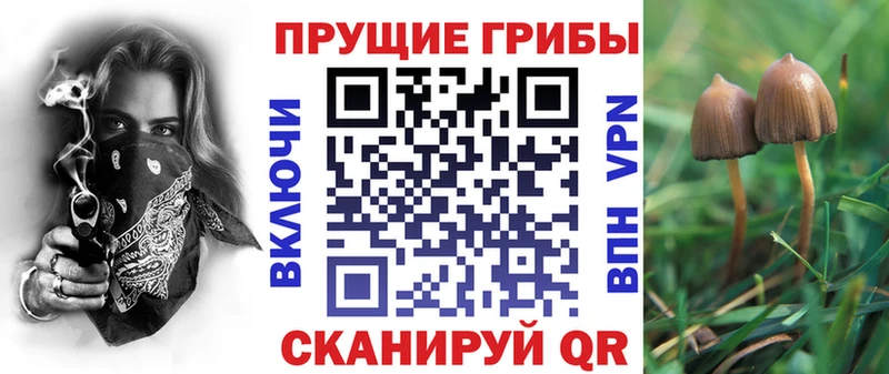 дарнет шоп  Лахденпохья  Псилоцибиновые грибы GOLDEN TEACHER 